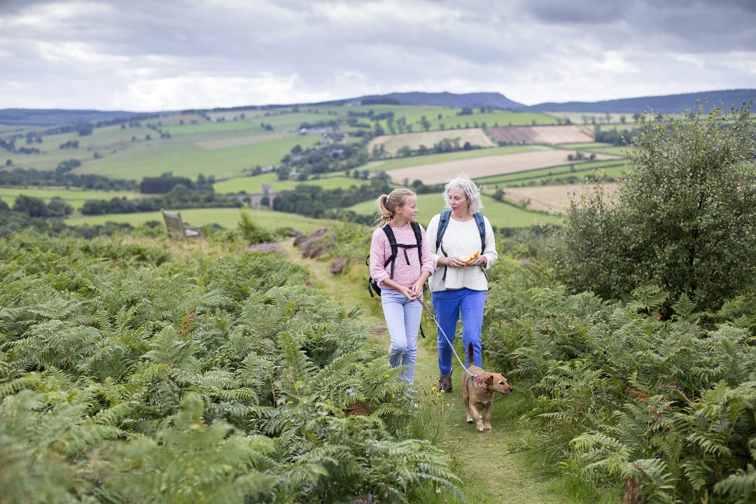 dealing with difficulties when out walking in nature